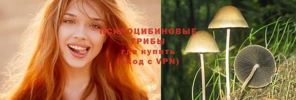 спайс Коряжма