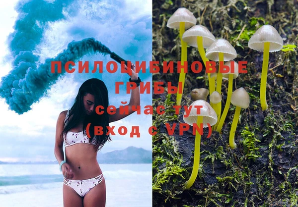 марки lsd Костерёво