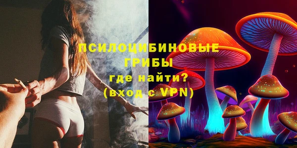 PSILOCYBIN Корсаков