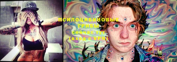марки lsd Костерёво