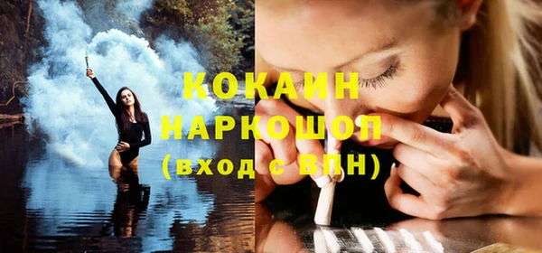 PSILOCYBIN Корсаков