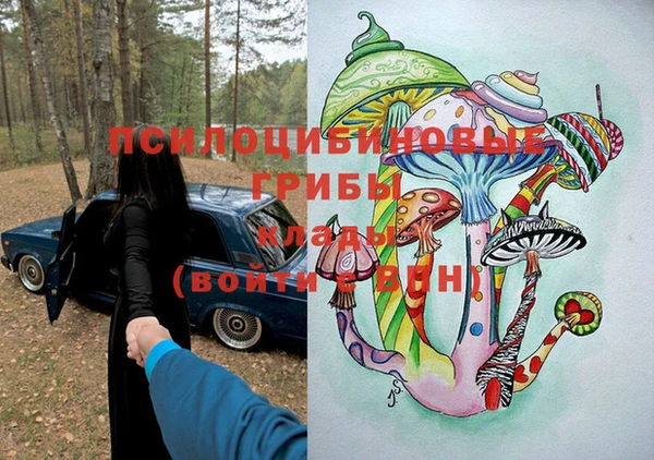 PSILOCYBIN Козловка