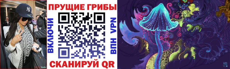 наркота  Ладушкин  Галлюциногенные грибы Magic Shrooms 